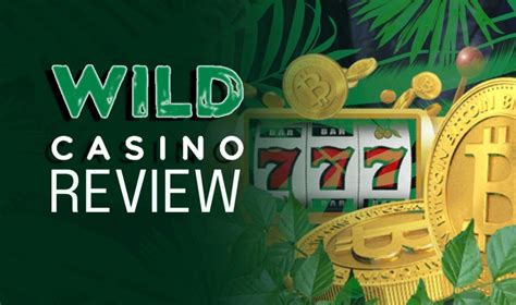 wild casino log in.